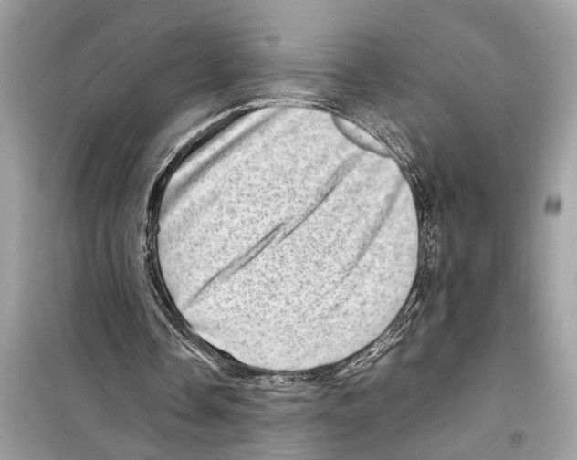 X0000098220338200805221653