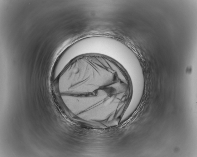 X0000098220340200805221653
