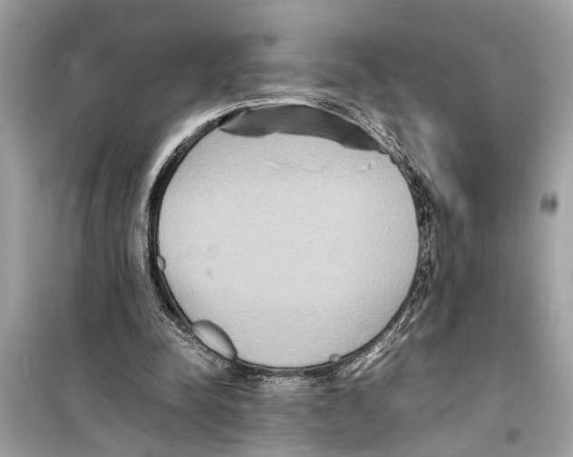 X0000098220342200805221653