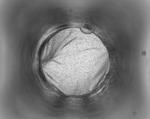 X0000098220343200805221653