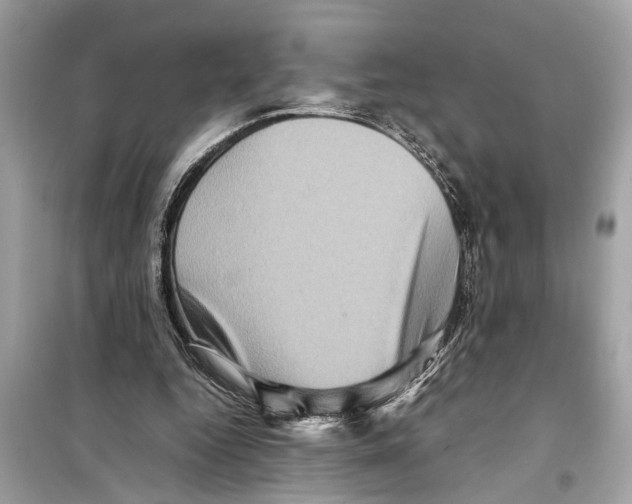 X0000098220344200805221653