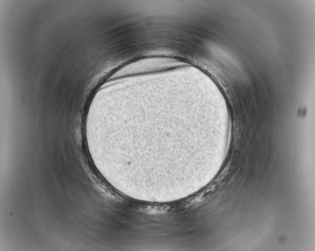 X0000098220345200805221653