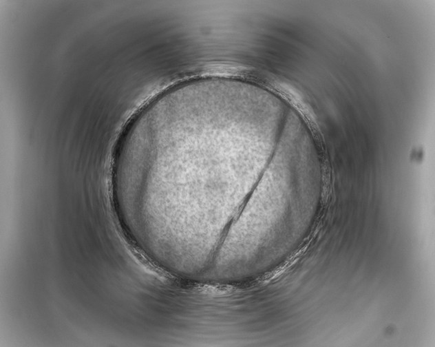 X0000098220346200805221653