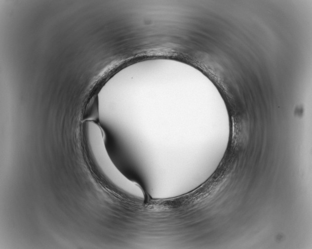 X0000098220348200805221653