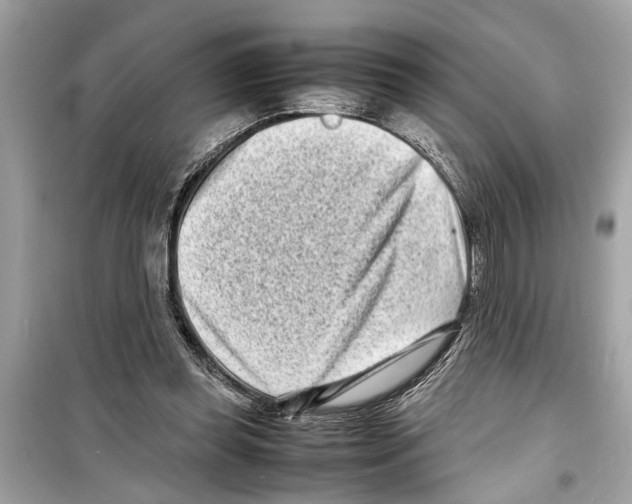 X0000098220349200805221653