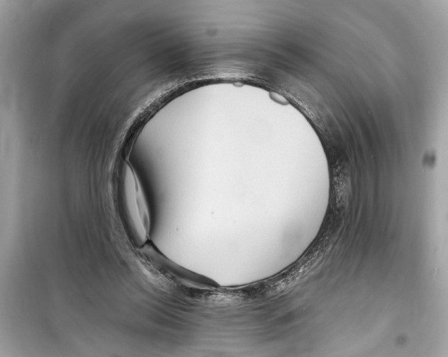 X0000098220350200805221653