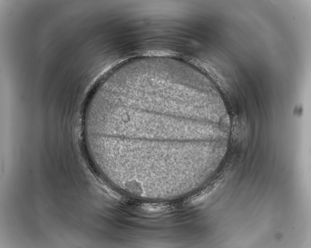 X0000098220351200805221653