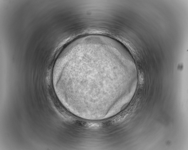X0000098220352200805221653