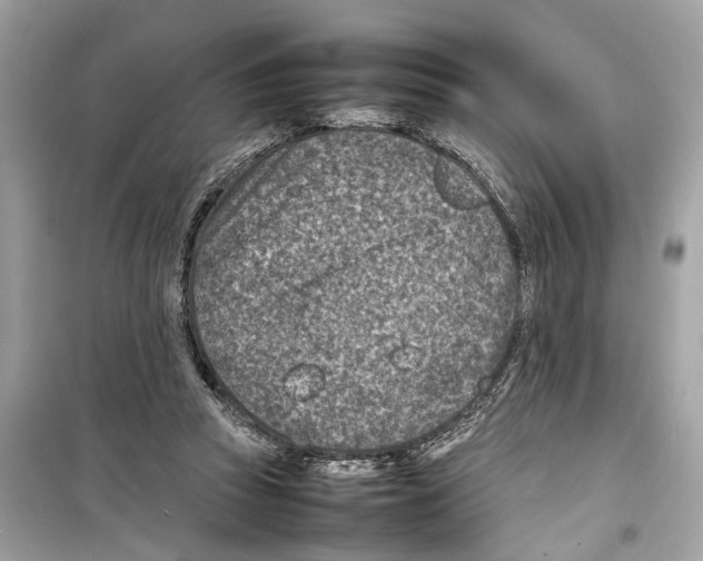X0000098220353200805221653