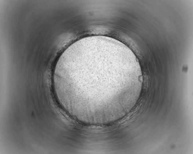 X0000098220354200805221653