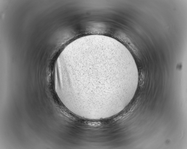X0000098220355200805221653