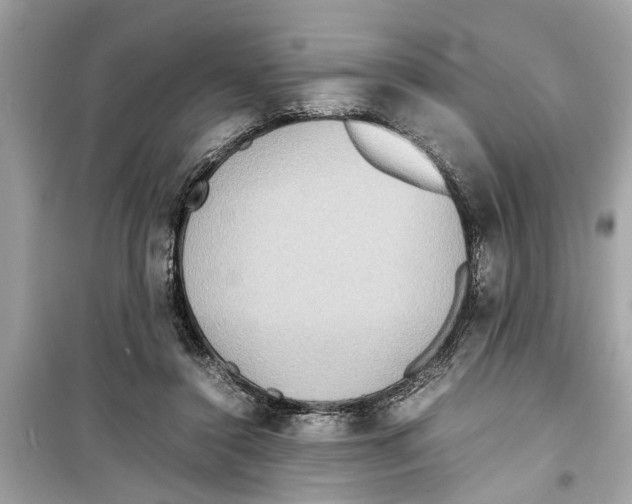 X0000098220356200805221653