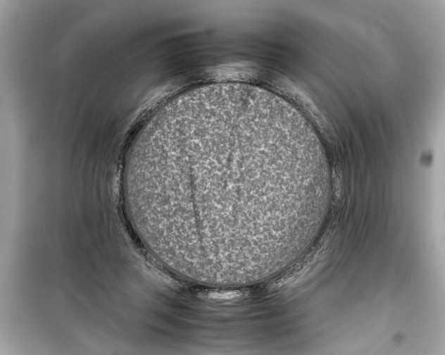 X0000098220357200805221653