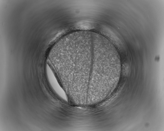 X0000098220358200805221653