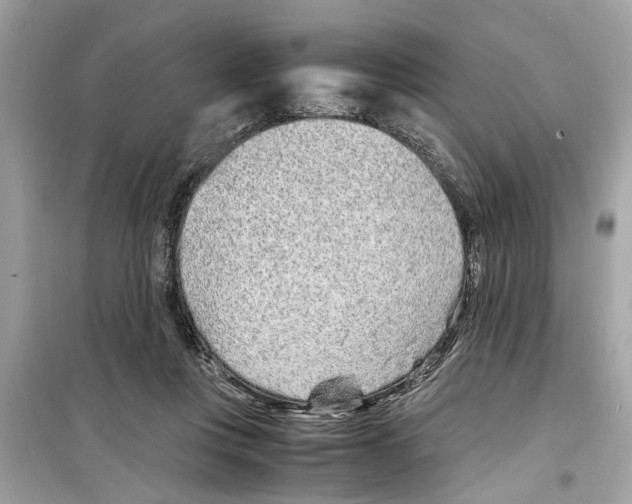 X0000098220359200805221653