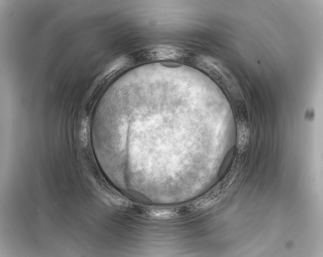 X0000098220360200805221653