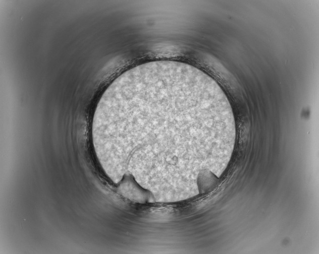 X0000098220362200805221653