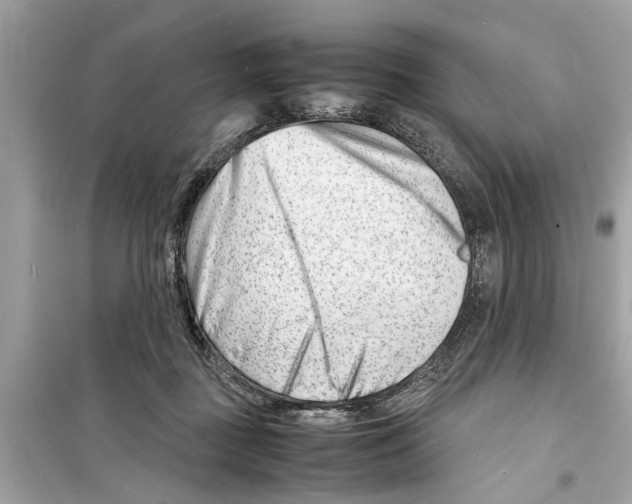 X0000098220363200805221653