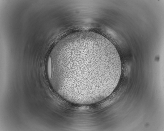 X0000098220366200805221653
