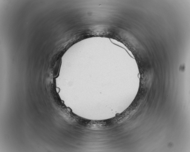 X0000098220368200805221653