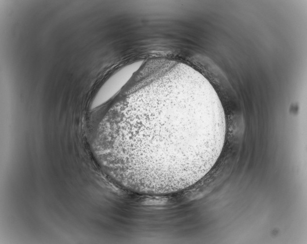 X0000098220369200805221653