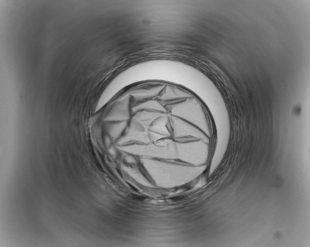 X0000098220372200805221653
