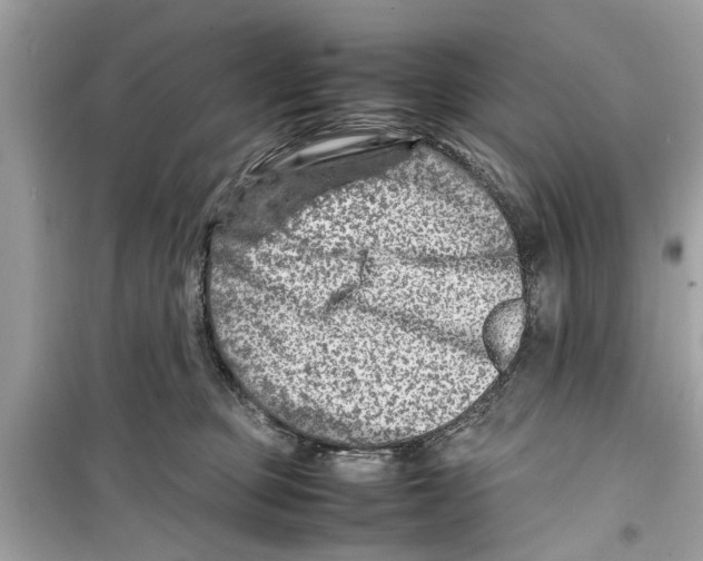 X0000098220373200805221653