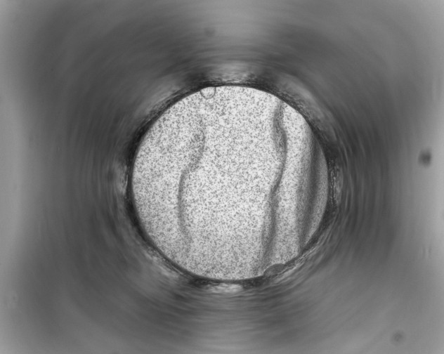 X0000098220374200805221653