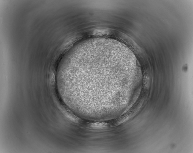 X0000098220375200805221653