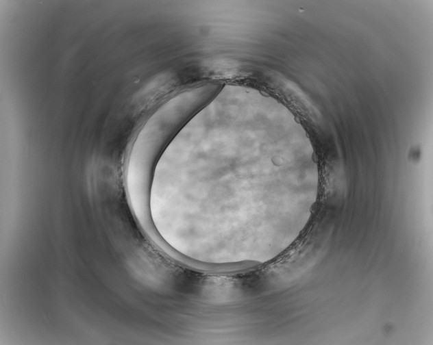 X0000098220376200805221653