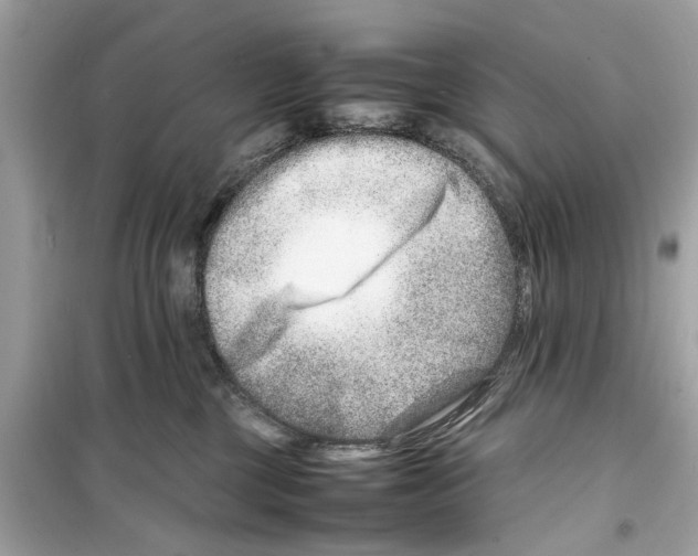X0000098220377200805221653