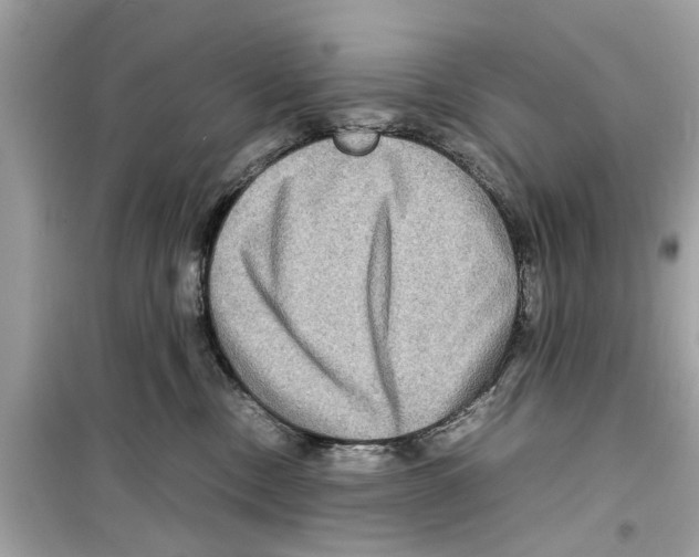 X0000098220378200805221653