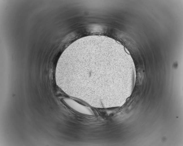 X0000098220379200805221653