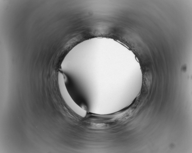 X0000098220380200805221653