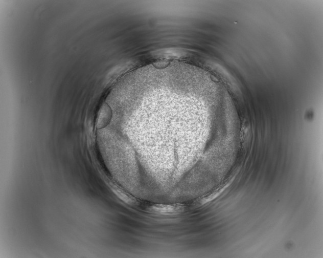 X0000098220381200805221653