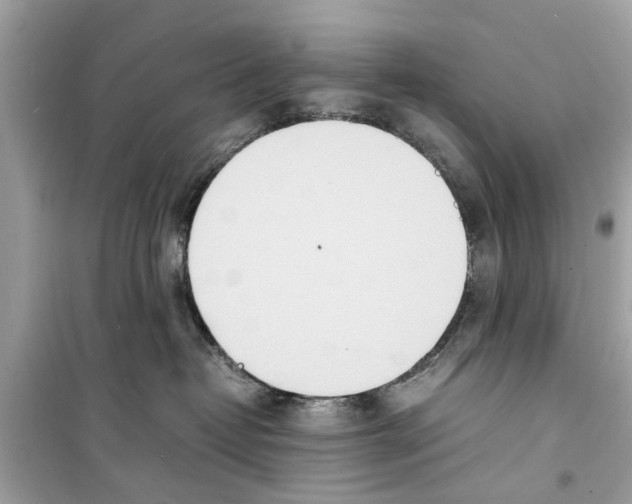 X0000098220382200805221653
