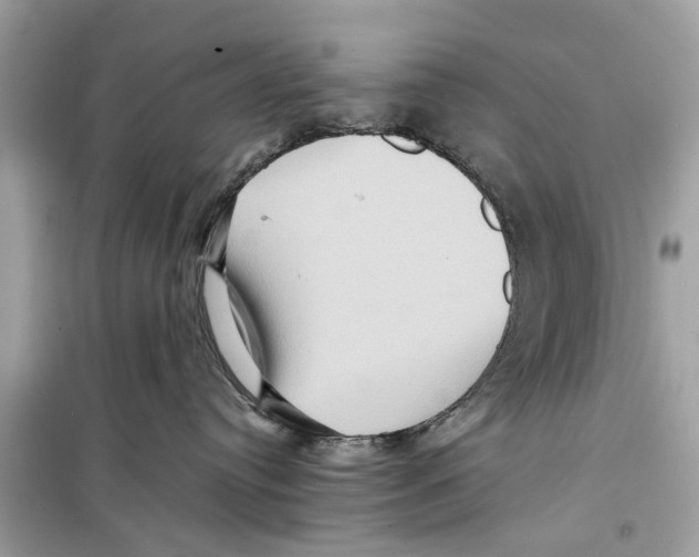 X0000098220384200805221654