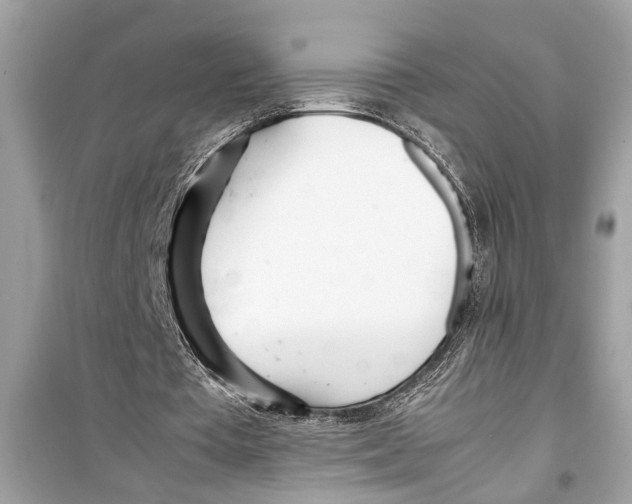 X0000098220385200805221653