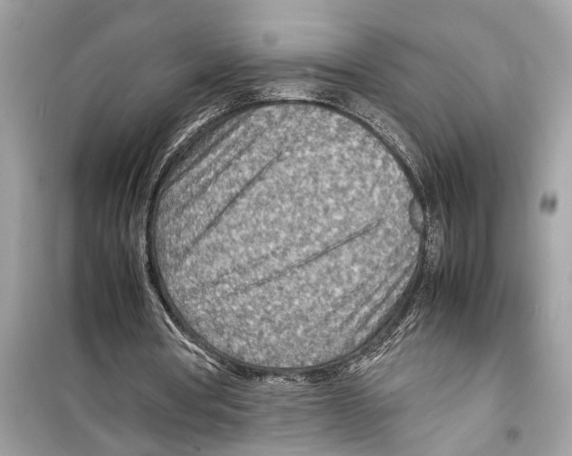 X0000098220386200805221653