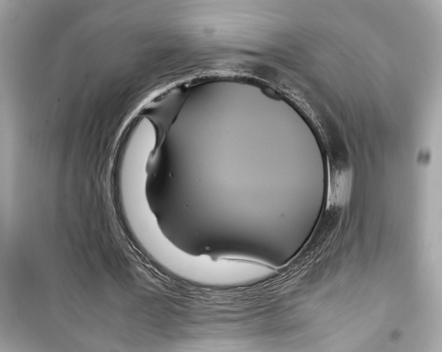 X0000098220387200805221653