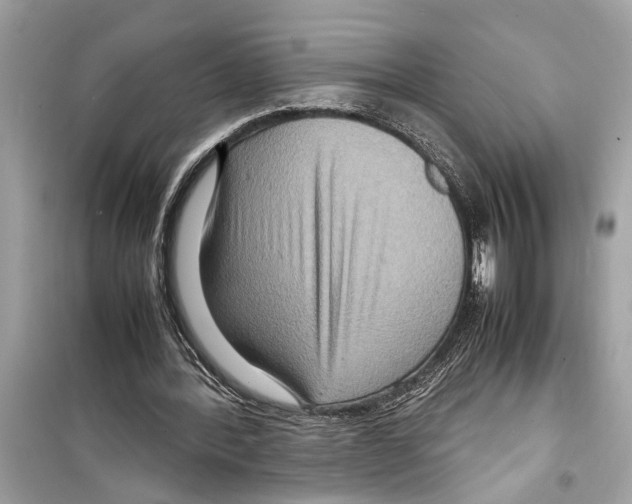 X0000098220388200805221653