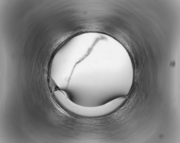 X0000098220389200805221653