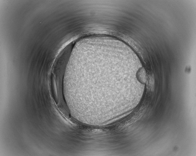 X0000098220390200805221653