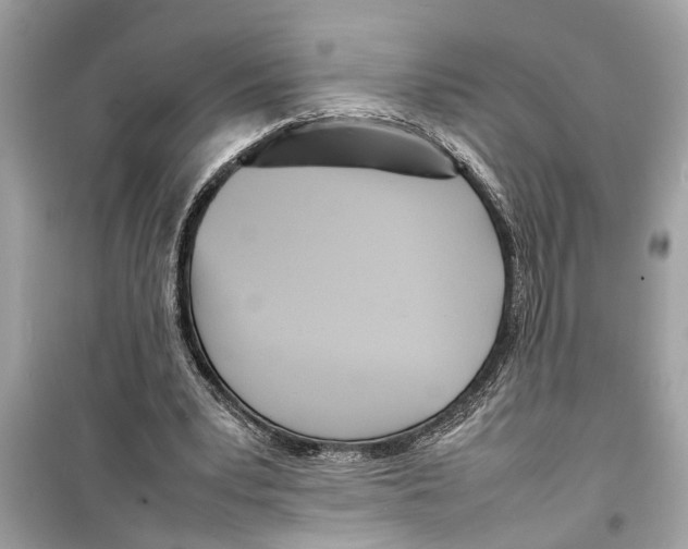 X0000098220391200805221653