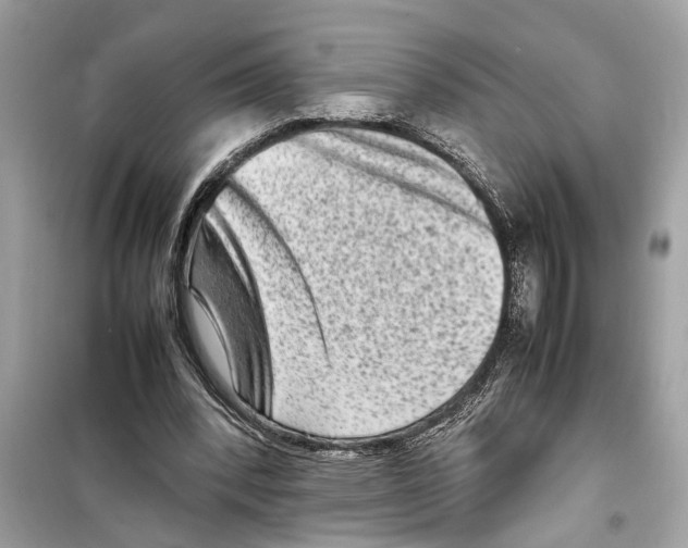 X0000098220392200805221653