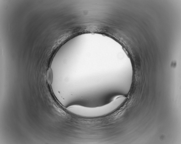 X0000098220393200805221653