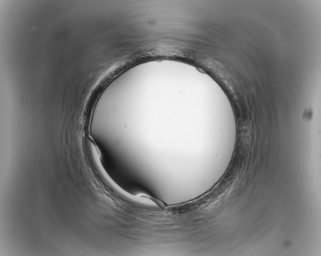 X0000098220395200805221653