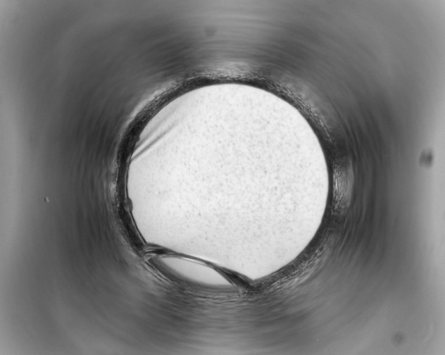 X0000098220396200805221653