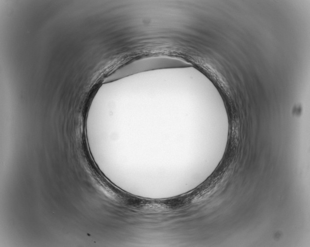 X0000098220397200805221653
