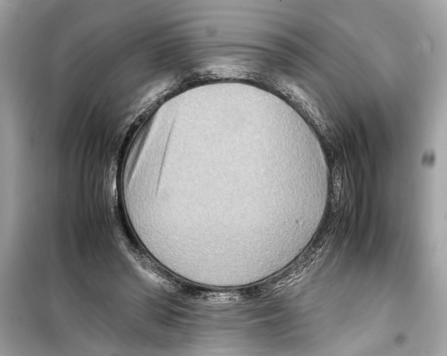 X0000098220398200805221653
